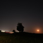 Mond